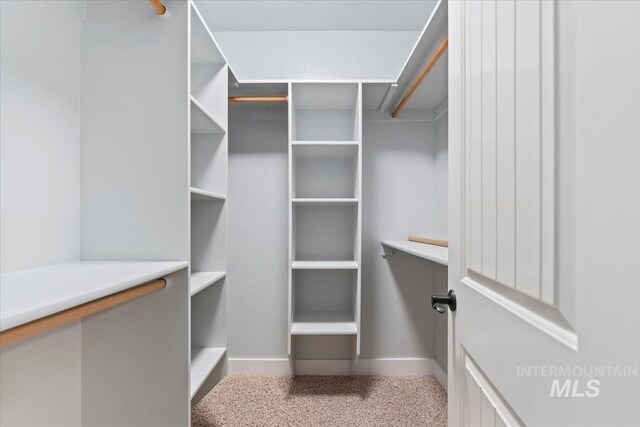 25374 W Deep Canyon Dr, Star, ID 83644 - view of spacious closet