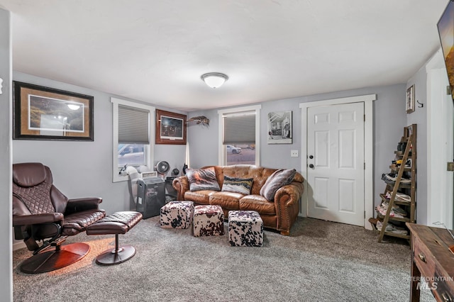 living room featuring carpet flooring