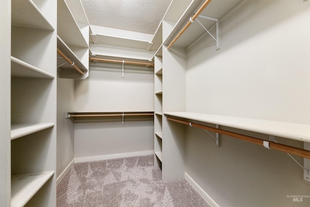 spacious closet featuring light carpet