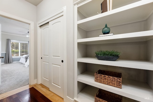 interior space with carpet floors, crown molding, and wood finished floors