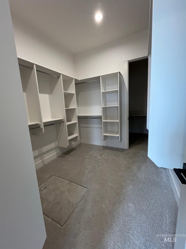 walk in closet with carpet