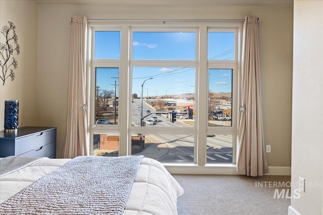 carpeted bedroom featuring multiple windows