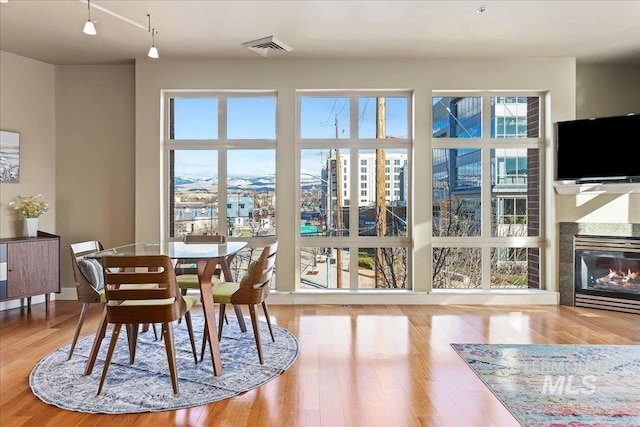 dining space with light hardwood / wood-style floors and rail lighting