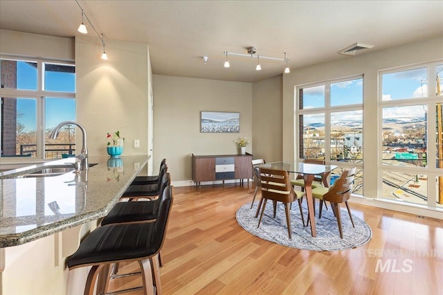 dining room with sink, light hardwood / wood-style floors, and track lighting