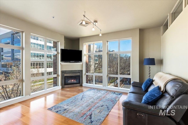 living room with wood-type flooring and a healthy amount of sunlight