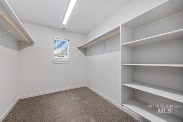 walk in closet with carpet floors and visible vents
