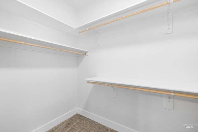 875 N 14th St, Payette, ID 83661 - walk in closet with carpet floors