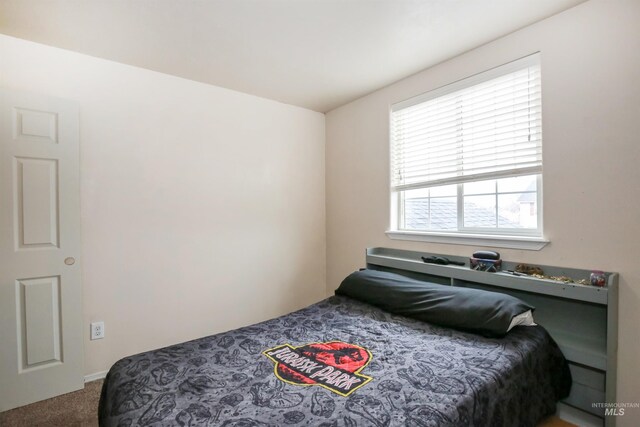 2059 Spring Creek Dr, Fruitland, ID 83619 - view of carpeted bedroom