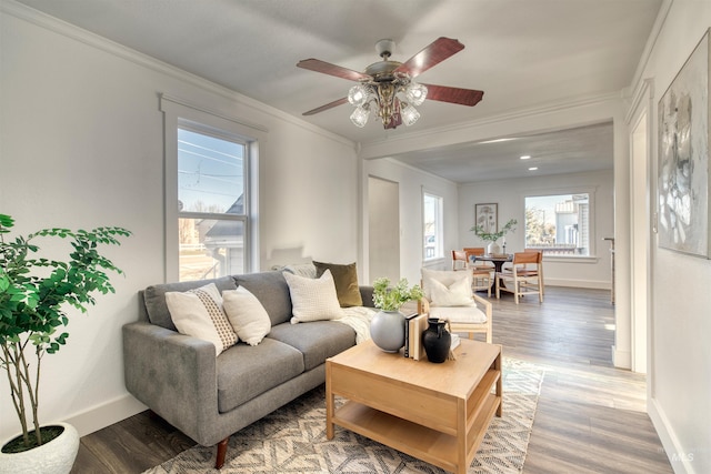 living room featuring ceiling fan, hardwood / wood-style floors, and ornamental molding