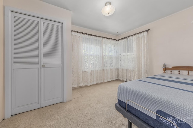 1245 SW 3rd Ave, Ontario, OR 97914 - bedroom featuring carpet and a closet