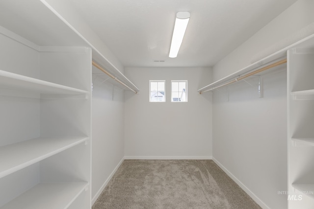 spacious closet featuring carpet and visible vents