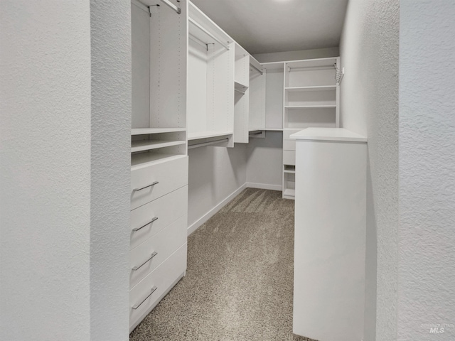 5394 N Elmstone Ave, Meridian, ID 83646 - spacious closet featuring light carpet