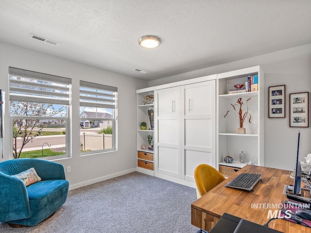 5394 N Elmstone Ave, Meridian, ID 83646 - home office featuring baseboards, a textured ceiling, and carpet
