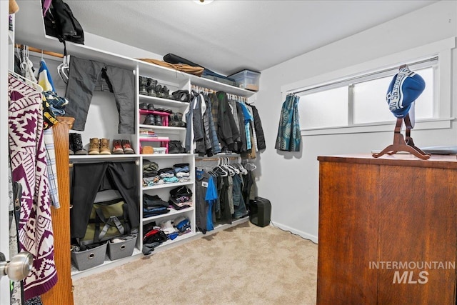 spacious closet with carpet flooring