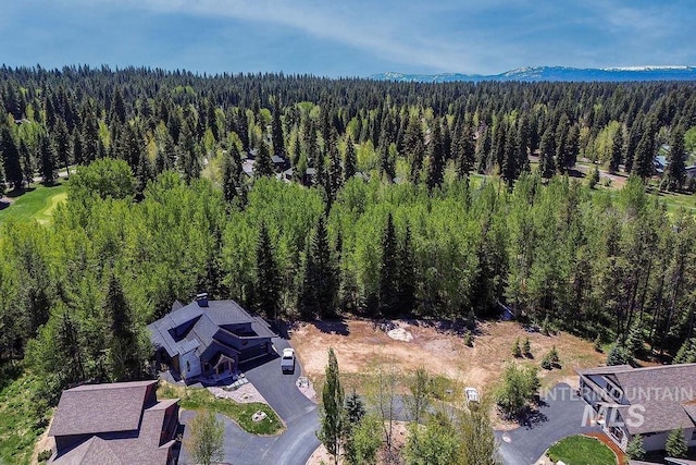 320 Mountain Cove Ct, Mccall, ID 83638