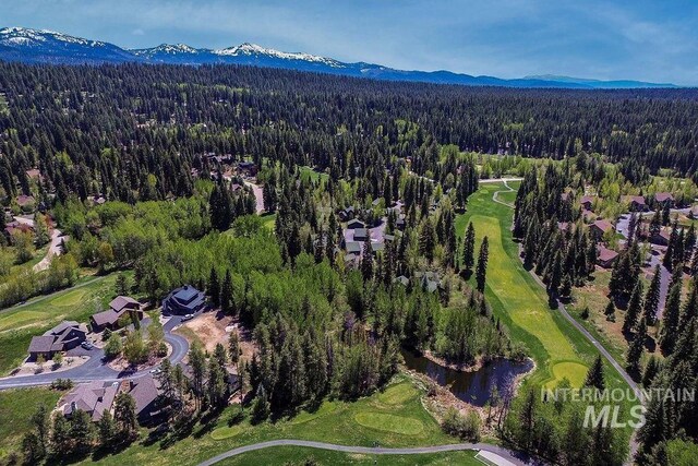 320 Mountain Cove Ct, Mccall, ID 83638