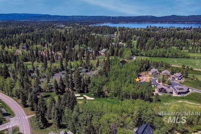 320 Mountain Cove Ct, Mccall, ID 83638