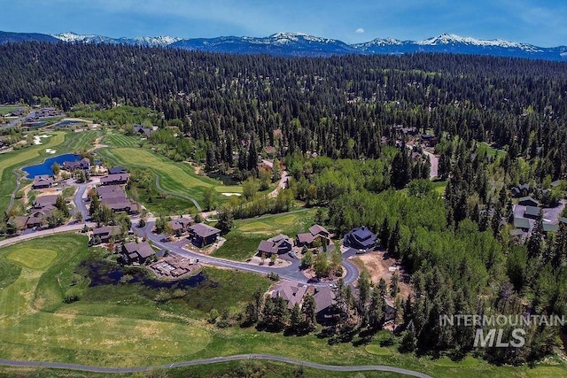 320 Mountain Cove Ct, Mccall, ID 83638