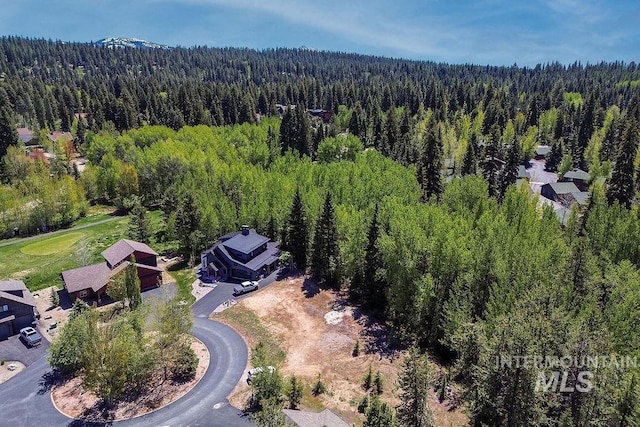 320 Mountain Cove Ct, Mccall, ID 83638