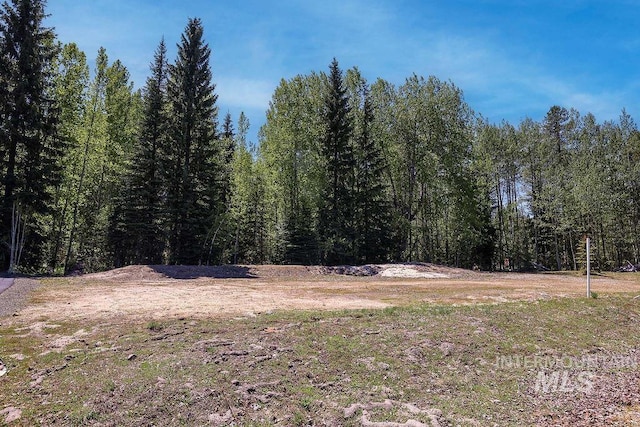 320 Mountain Cove Ct, Mccall, ID 83638