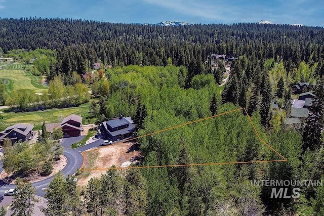 320 Mountain Cove Ct, Mccall, ID 83638