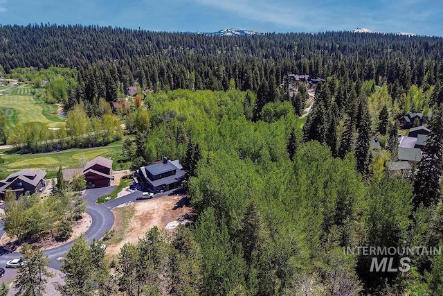 320 Mountain Cove Ct, Mccall, ID 83638