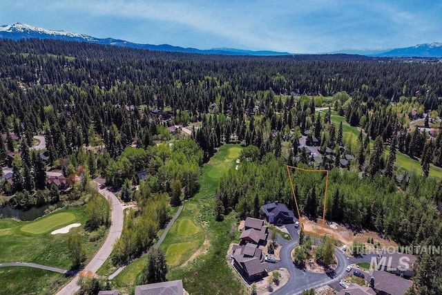 320 Mountain Cove Ct, Mccall, ID 83638