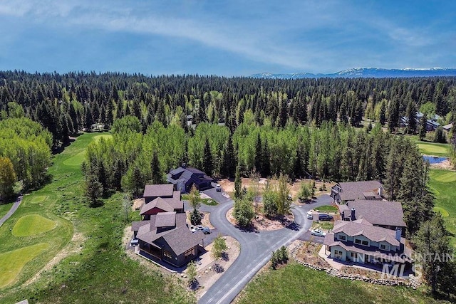 320 Mountain Cove Ct, Mccall, ID 83638