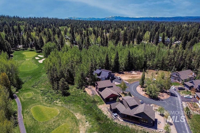 320 Mountain Cove Ct, Mccall, ID 83638