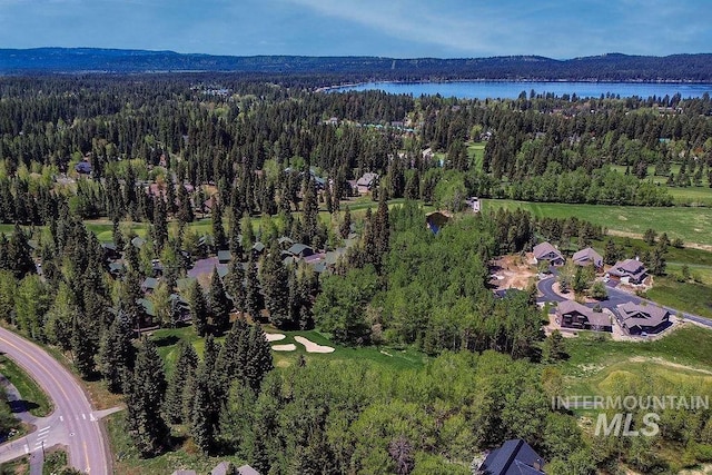 320 Mountain Cove Ct, Mccall, ID 83638