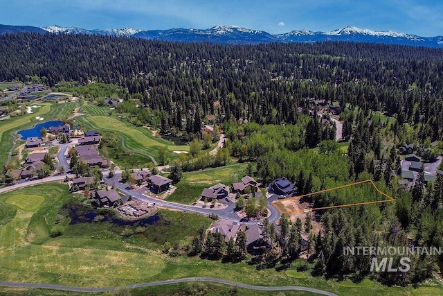 320 Mountain Cove Ct, Mccall, ID 83638