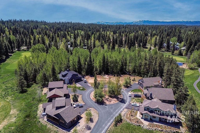 320 Mountain Cove Ct, Mccall, ID 83638