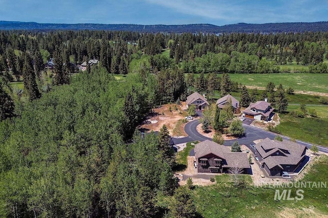 320 Mountain Cove Ct, Mccall, ID 83638