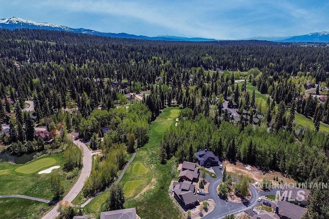 320 Mountain Cove Ct, Mccall, ID 83638