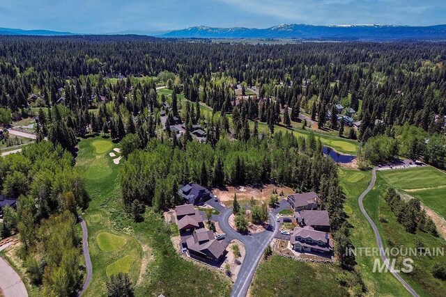320 Mountain Cove Ct, Mccall, ID 83638