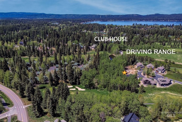 320 Mountain Cove Ct, Mccall, ID 83638