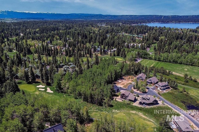320 Mountain Cove Ct, Mccall, ID 83638