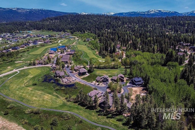 320 Mountain Cove Ct, Mccall, ID 83638