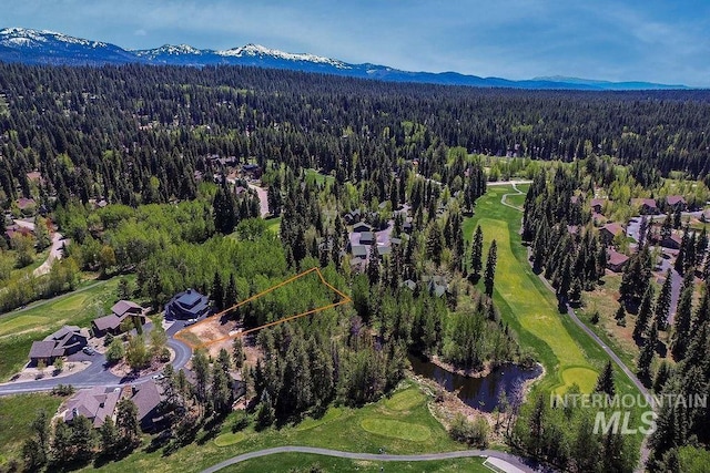 320 Mountain Cove Ct, Mccall, ID 83638