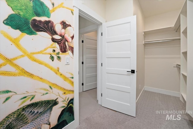 spacious closet featuring carpet flooring