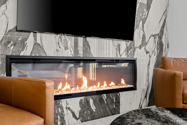 255 S Capitol Blvd Unit 1403, Boise, ID 83702 - detailed view of a glass covered fireplace