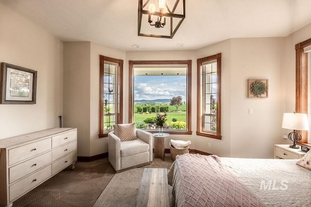 2350 Trail Rd, Moscow, ID 83843 - bedroom with dark carpet, baseboards, and a chandelier