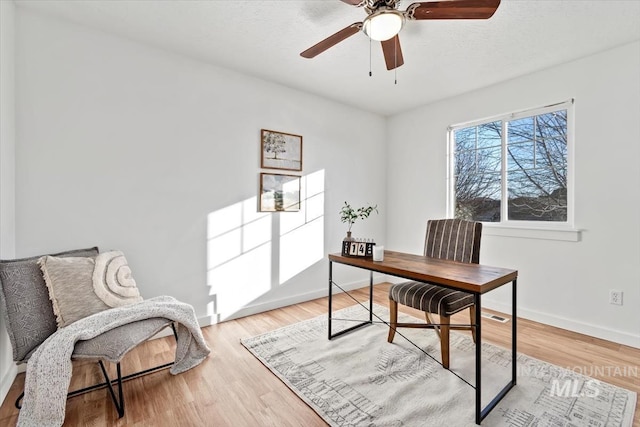 office space with ceiling fan and light hardwood / wood-style flooring