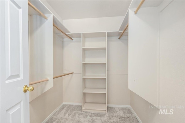 14325 W Comisky, Boise, ID 83713 - walk in closet with carpet floors