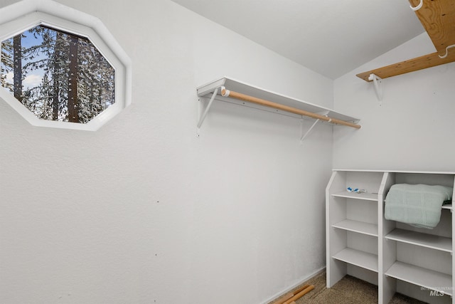 spacious closet featuring lofted ceiling and carpet flooring