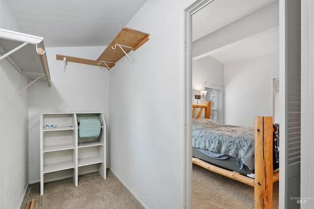 spacious closet featuring light carpet