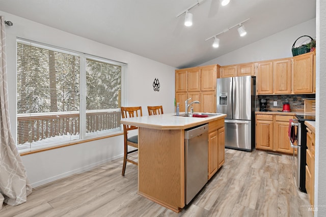 kitchen with sink, stainless steel appliances, light hardwood / wood-style floors, and a kitchen island with sink