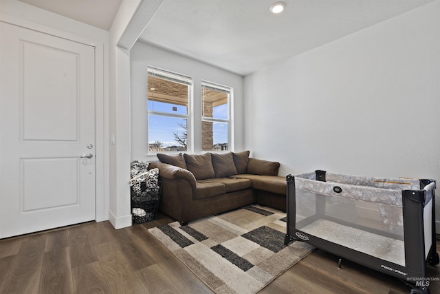 living room featuring dark hardwood / wood-style flooring