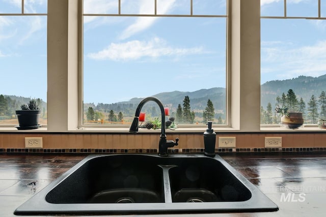 interior details featuring a mountain view and sink