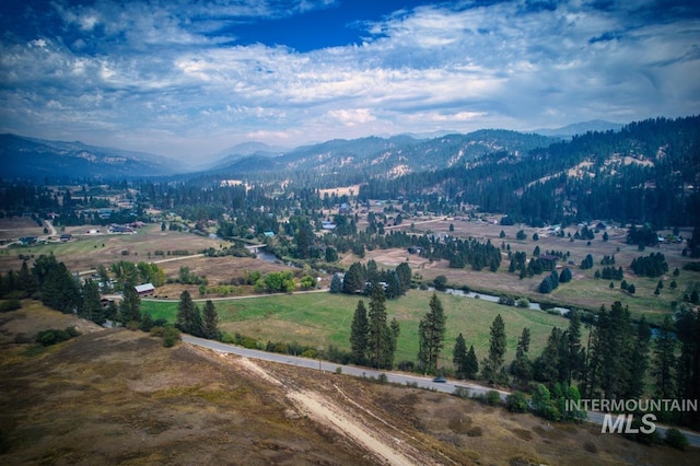 drone / aerial view featuring a mountain view